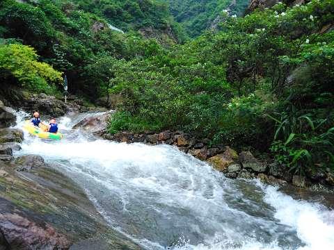 成都西南脑科医院：一面锦旗、三封感谢信接踵而至！